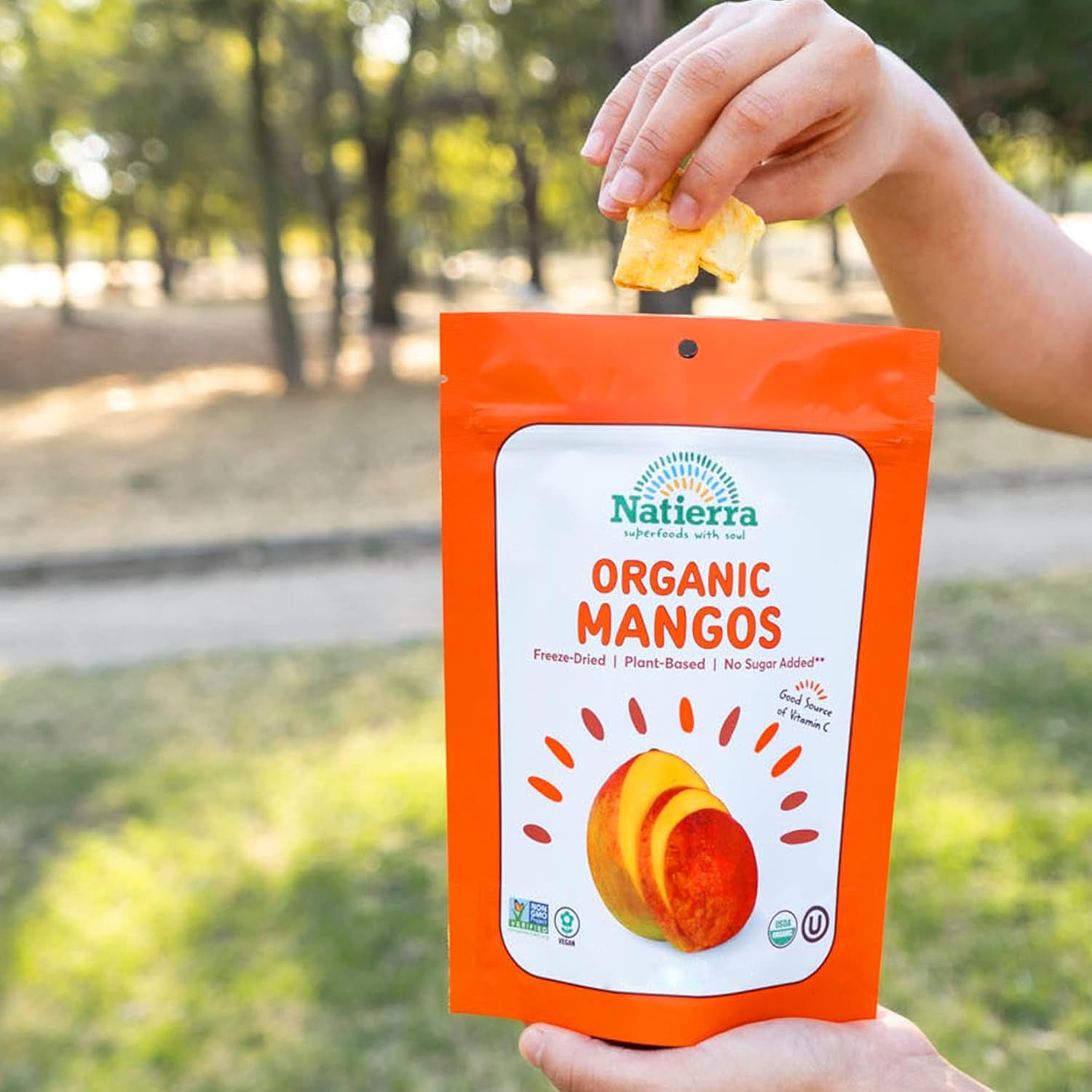 Organic Freeze-Dried Mangos | USDA Organic, Non-Gmo & Vegan | Gluten Free, No Additives, No Sugar Added | 1.5 Ounce (Pack of 1)